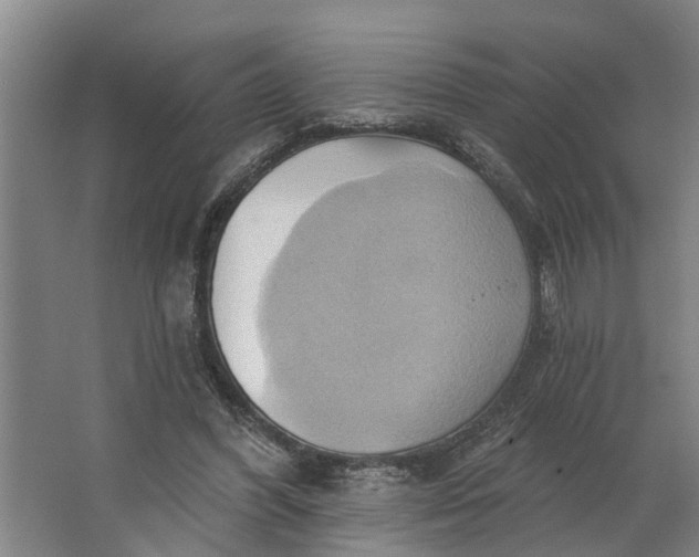 X0000062910396200601271745