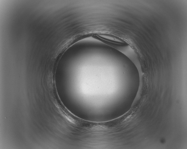 X0000062910397200601271745