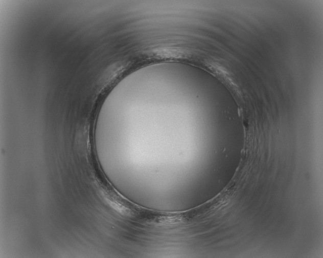 X0000062910398200601271745