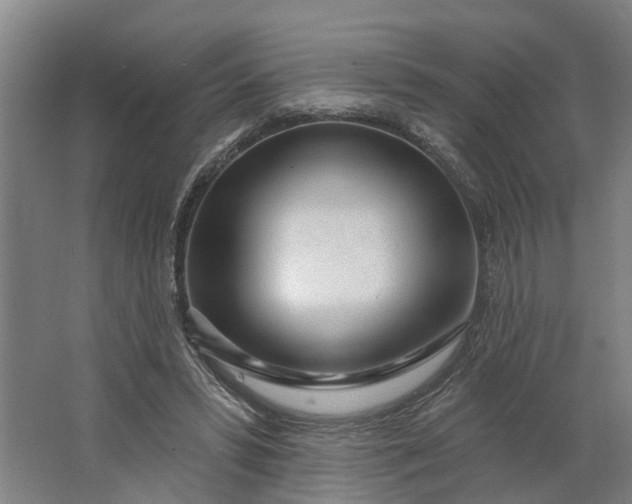 X0000062910399200601271745