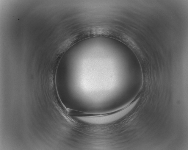 X0000062910401200601271745