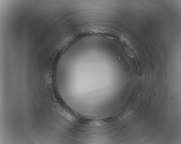 X0000062910402200601271745