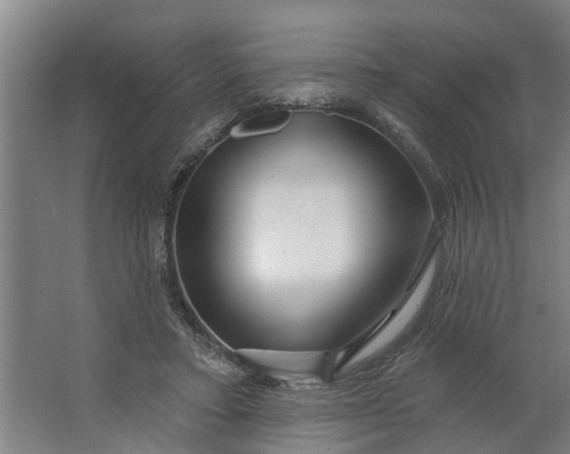 X0000062910403200601271745