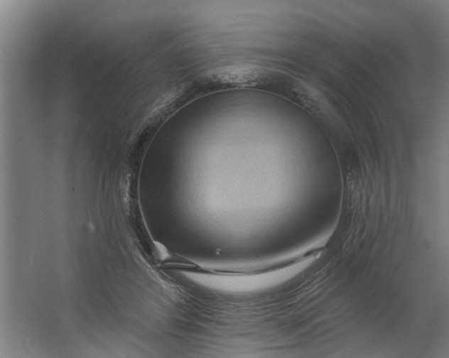 X0000062910404200601271745