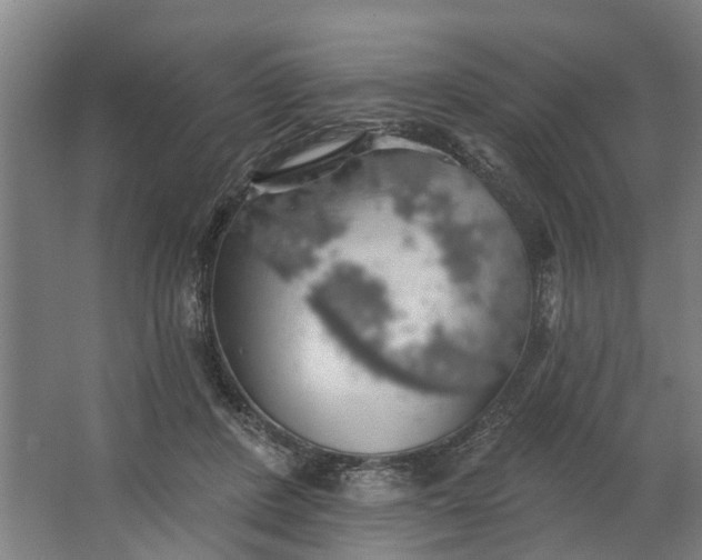 X0000062910408200601271745