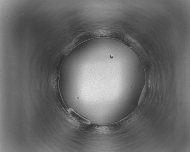 X0000062910409200601271744