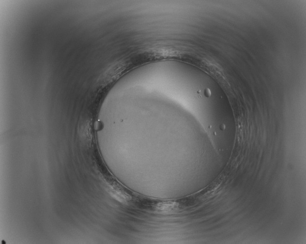 X0000062910410200601271744