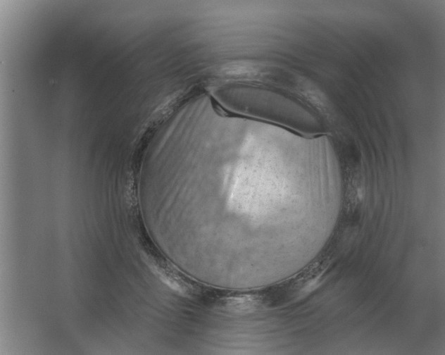 X0000062910411200601271744