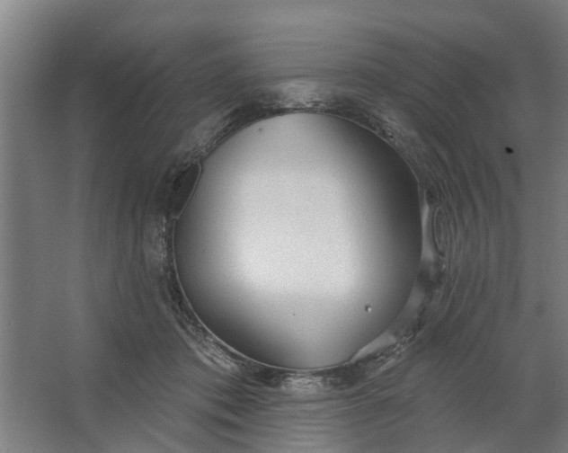 X0000062910413200601271744