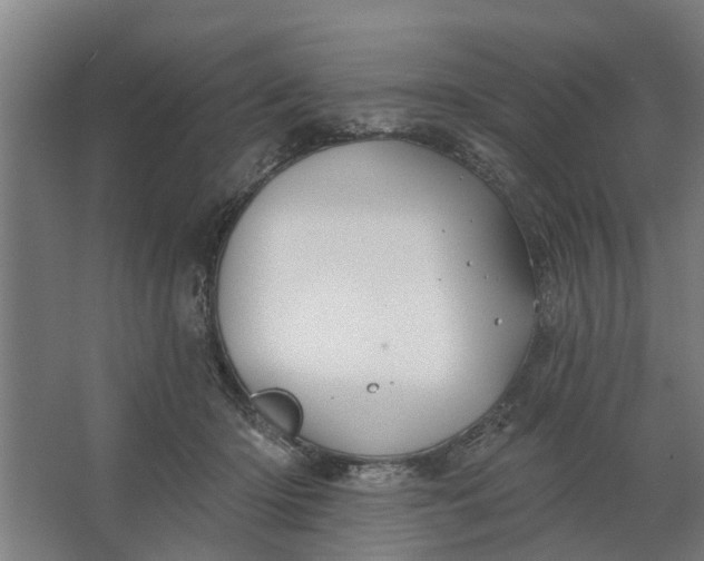 X0000062910414200601271744