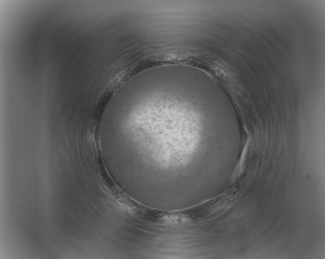 X0000062910415200601271744