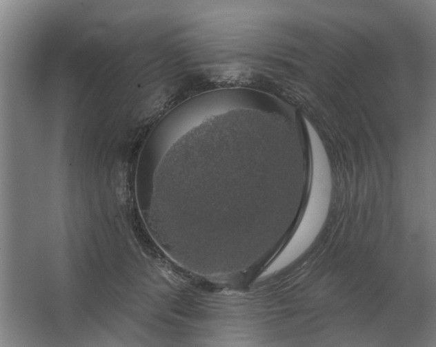 X0000062910416200601271744