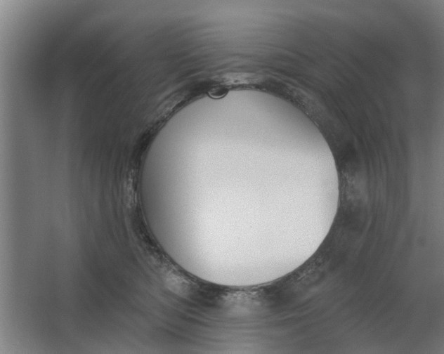 X0000062910422200601271744