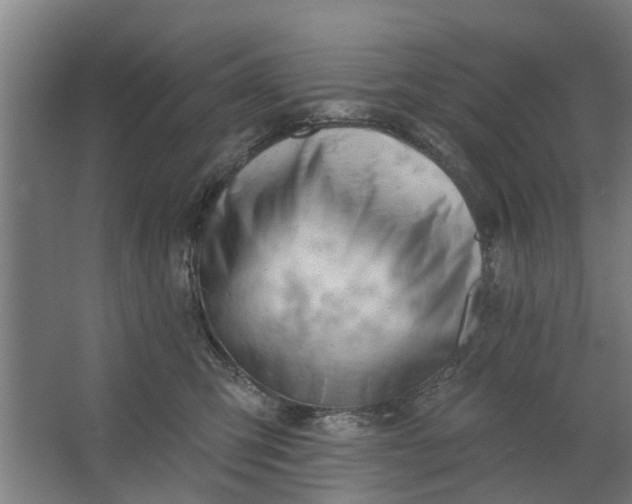 X0000062910423200601271744