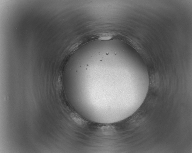 X0000062910426200601271744