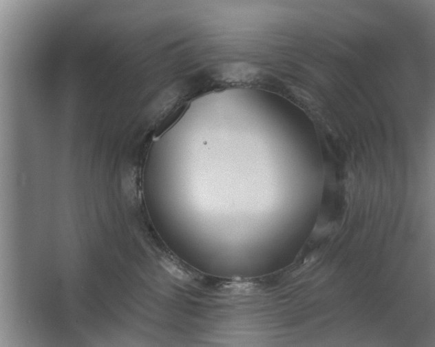 X0000062910428200601271744