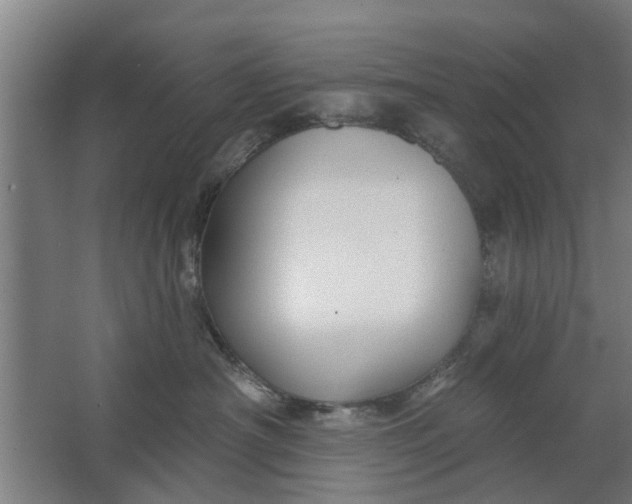 X0000062910430200601271744