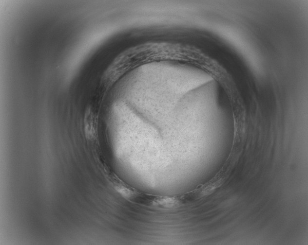 X0000062910431200601271744