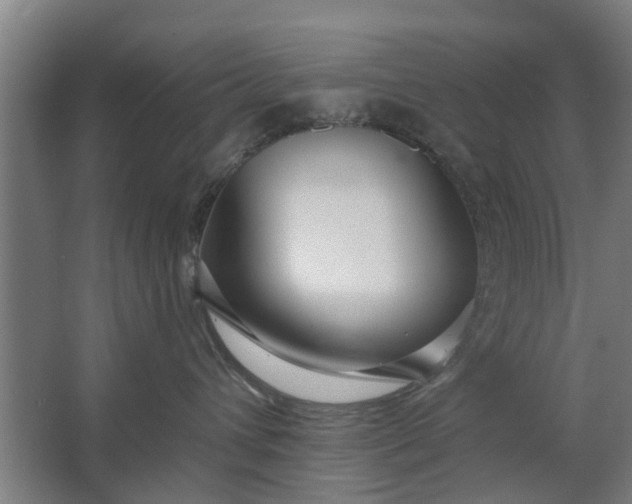 X0000062910432200601271744