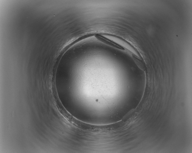 X0000062910434200601271743