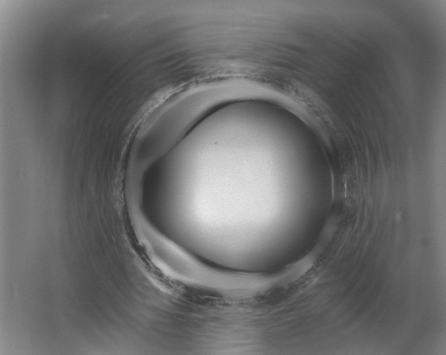 X0000062910436200601271743