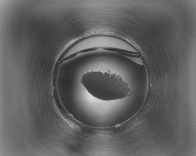 X0000062910438200601271743