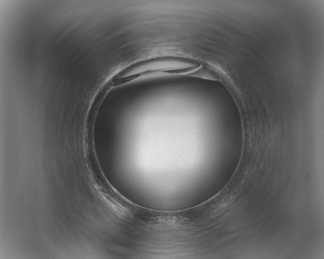 X0000062910439200601271743