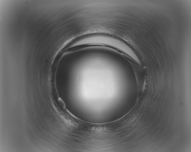 X0000062910440200601271743