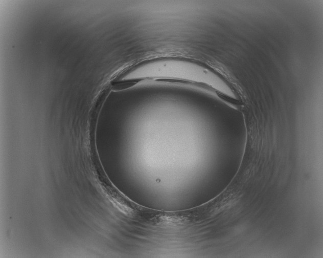 X0000062910442200601271743