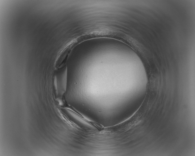 X0000062910446200601271744