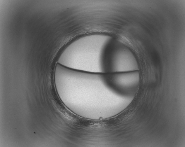 X0000062910447200601271744