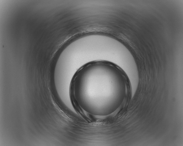 X0000062910448200601271744