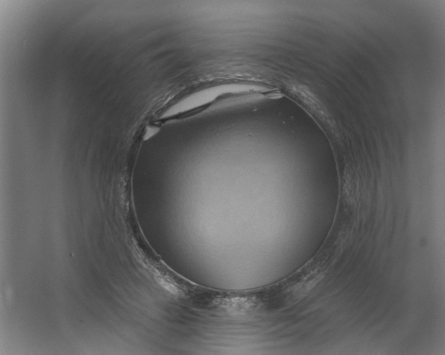 X0000062910449200601271744