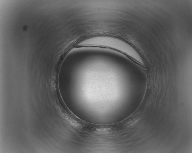 X0000062910450200601271744