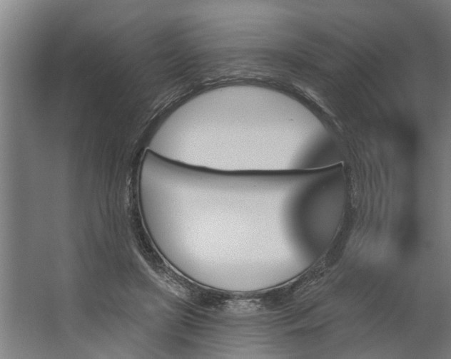 X0000062910451200601271744