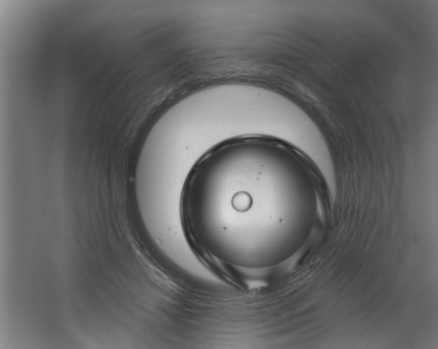 X0000062910452200601271744