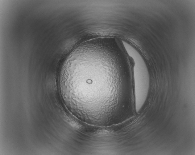 X0000062910453200601271744