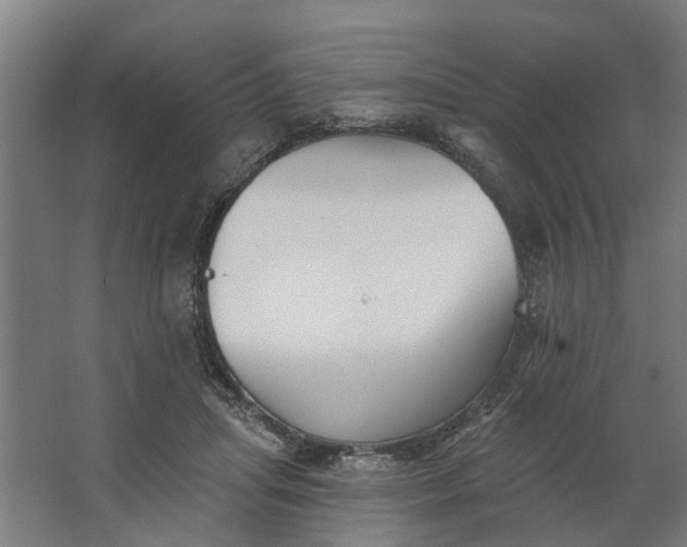 X0000062910455200601271744