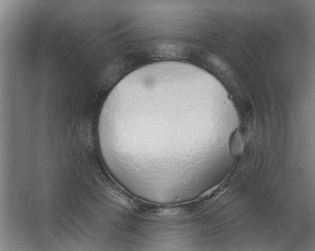 X0000062910457200601271744