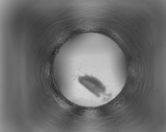 X0000062910458200601271744