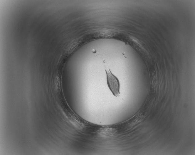 X0000062910459200601271744