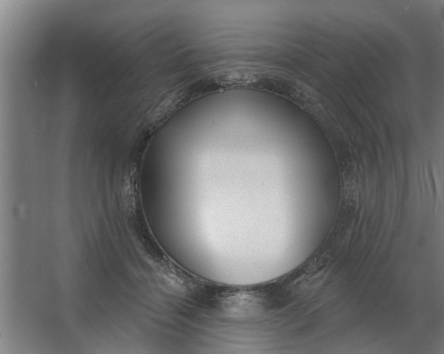 X0000062910460200601271744