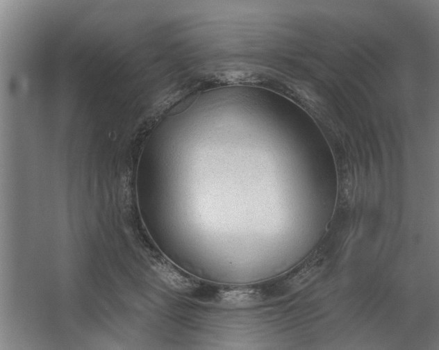 X0000062910461200601271744