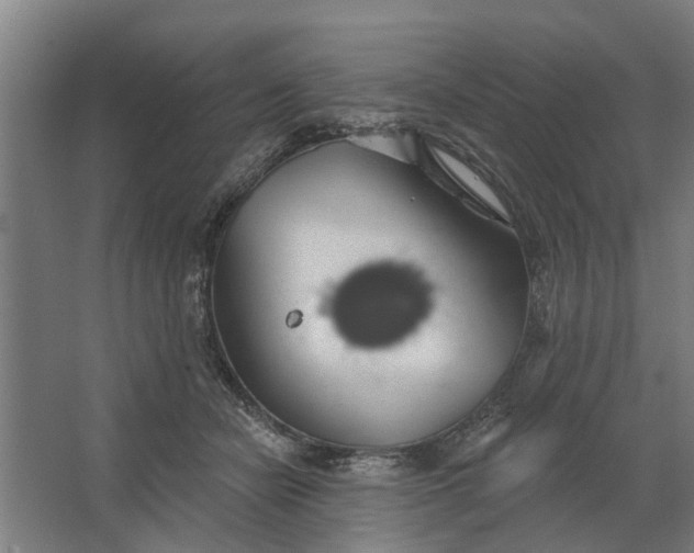 X0000062910462200601271744