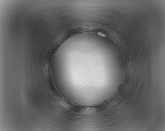 X0000062910463200601271744