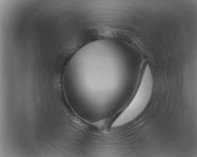 X0000062910466200601271744