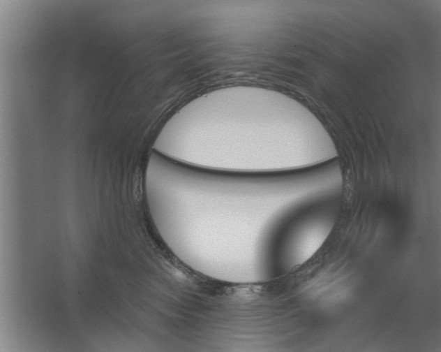 X0000062910474200601271744