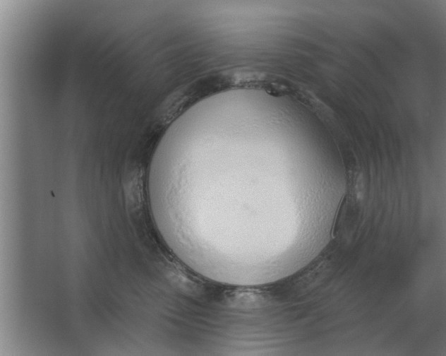 X0000062910475200601271744