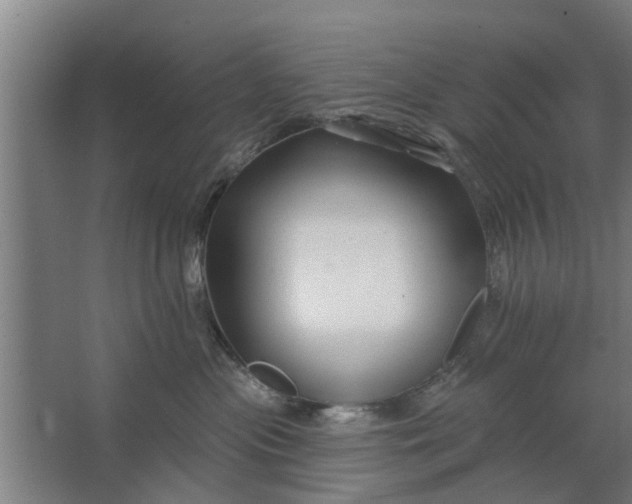 X0000062910477200601271744