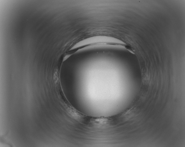 X0000062910478200601271744